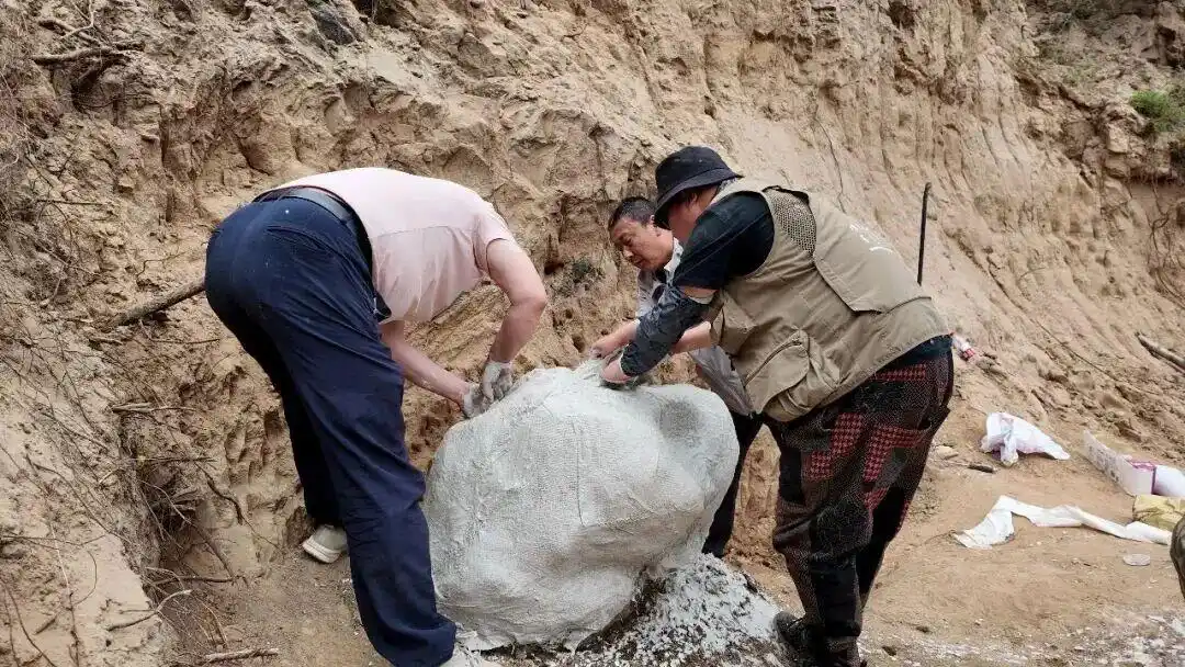 距今约20万年,内蒙古一地有重大发现